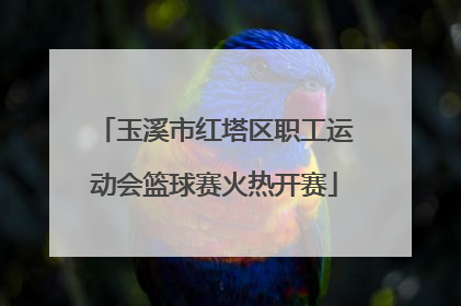 玉溪市红塔区职工运动会篮球赛火热开赛