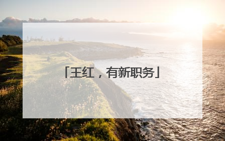 王红，有新职务