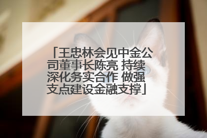王忠林会见中金公司董事长陈亮 持续深化务实合作 做强支点建设金融支撑