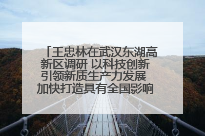 王忠林在武汉东湖高新区调研 以科技创新引领新质生产力发展 加快打造具有全国影响力的科技创新高地
