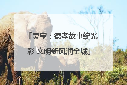 灵宝：德孝故事绽光彩 文明新风润金城