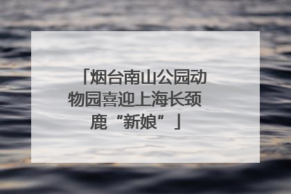 烟台南山公园动物园喜迎上海长颈鹿“新娘”