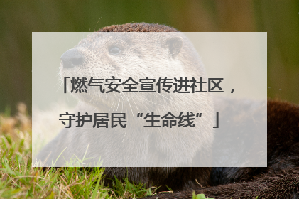 燃气安全宣传进社区，守护居民“生命线”