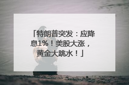 特朗普突发：应降息1%！美股大涨，黄金大跳水！
