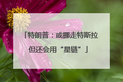 特朗普：或挪走特斯拉 但还会用“星链”