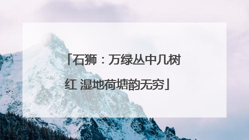 石狮：万绿丛中几树红 湿地荷塘韵无穷