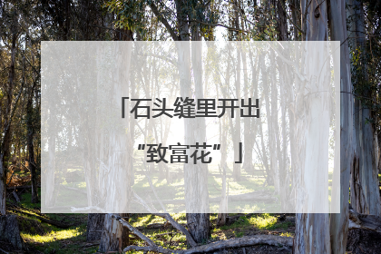 石头缝里开出“致富花”