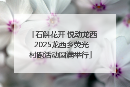 石斛花开 悦动龙西 2025龙西乡荧光村跑活动圆满举行
