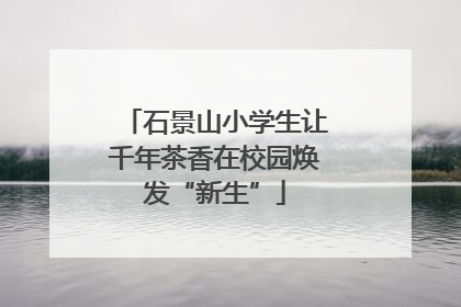 石景山小学生让千年茶香在校园焕发“新生”