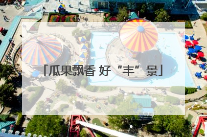 瓜果飘香 好“丰”景