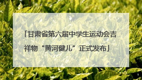 甘肃省第六届中学生运动会吉祥物“黄河健儿”正式发布