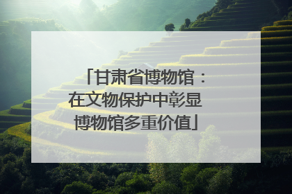 甘肃省博物馆：在文物保护中彰显博物馆多重价值