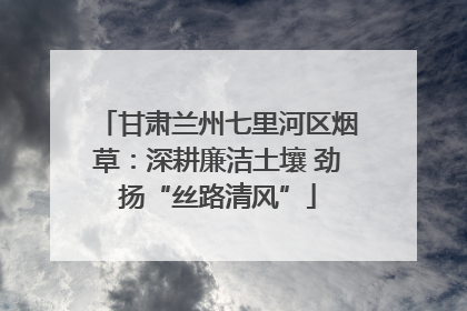甘肃兰州七里河区烟草：深耕廉洁土壤 劲扬“丝路清风”