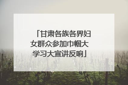 甘肃各族各界妇女群众参加巾帼大学习大宣讲反响