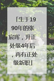 生于1990年的张宸珲，升正处级4年后，再有正处级新职