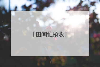 田间忙抢收