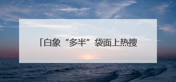 白象“多半”袋面上热搜！商标文字游戏何时休？