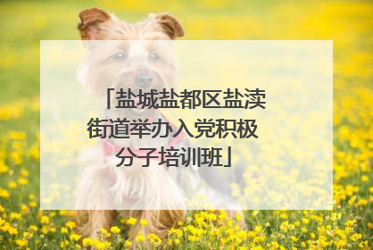 盐城盐都区盐渎街道举办入党积极分子培训班
