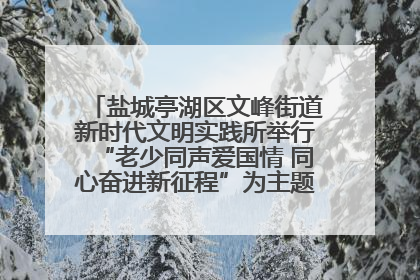 盐城亭湖区文峰街道新时代文明实践所举行“老少同声爱国情 同心奋进新征程”为主题的红色文化活动