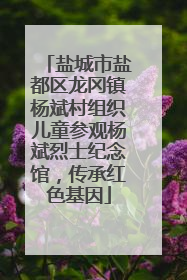 盐城市盐都区龙冈镇杨斌村组织儿童参观杨斌烈士纪念馆，传承红色基因