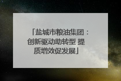 盐城市粮油集团：创新驱动助转型 提质增效促发展