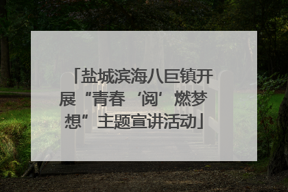 盐城滨海八巨镇开展“青春‘阅’燃梦想”主题宣讲活动