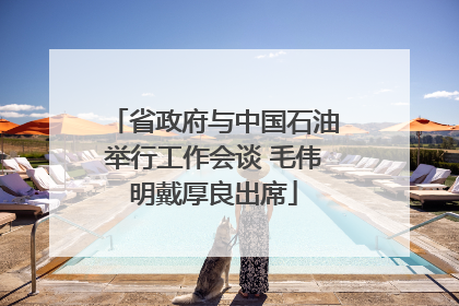 省政府与中国石油举行工作会谈 毛伟明戴厚良出席