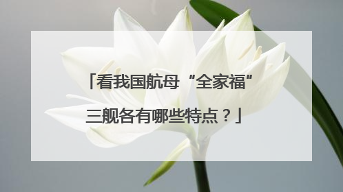 看我国航母“全家福” 三舰各有哪些特点？