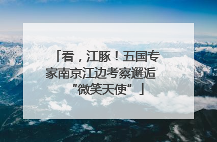 看，江豚！五国专家南京江边考察邂逅“微笑天使”