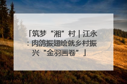筑梦“湘”村｜江永：肉鸽振翅绘就乡村振兴“金羽画卷”