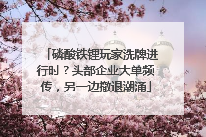 磷酸铁锂玩家洗牌进行时？头部企业大单频传，另一边撤退潮涌