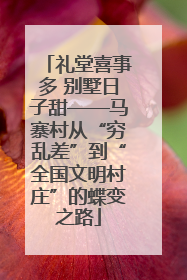 礼堂喜事多 别墅日子甜——马寨村从“穷乱差”到“全国文明村庄”的蝶变之路