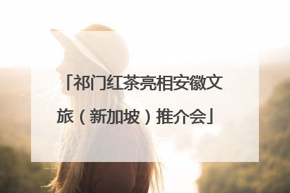 祁门红茶亮相安徽文旅（新加坡）推介会
