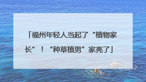 福州年轻人当起了“植物家长”！“种草植男”家亮了