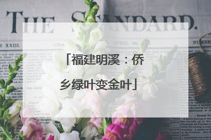 福建明溪：侨乡绿叶变金叶