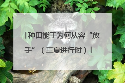 种田能手为何从容“放手”（三夏进行时）