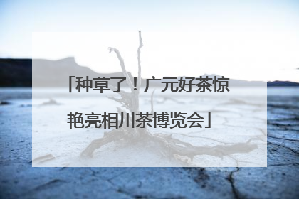 种草了！广元好茶惊艳亮相川茶博览会