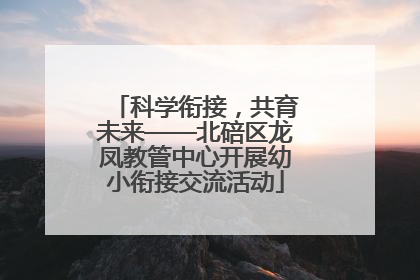 科学衔接，共育未来——北碚区龙凤教管中心开展幼小衔接交流活动