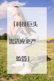 科技巨头需适应更严监管