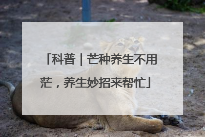 科普｜芒种养生不用茫，养生妙招来帮忙