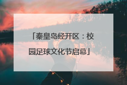 秦皇岛经开区：校园足球文化节启幕