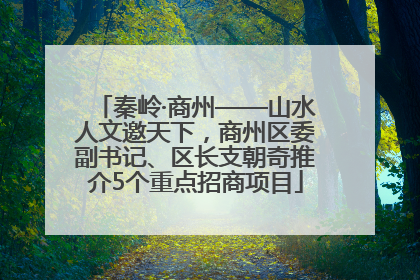 秦岭·商州——山水人文邀天下，商州区委副书记、区长支朝奇推介5个重点招商项目