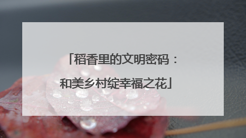 稻香里的文明密码：和美乡村绽幸福之花