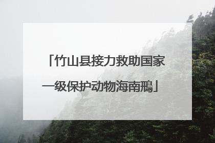 竹山县接力救助国家一级保护动物海南鳽
