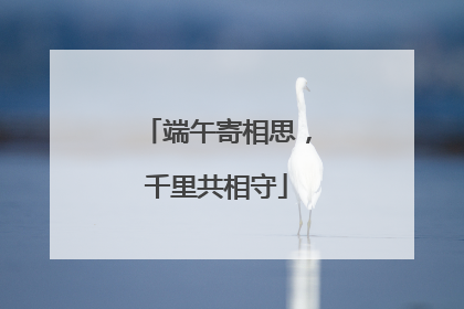 端午寄相思，千里共相守