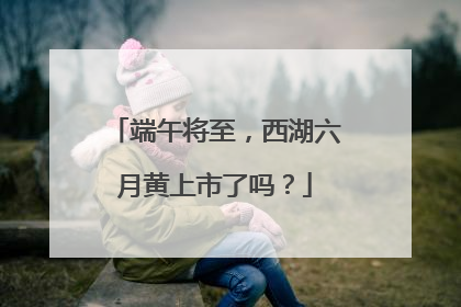端午将至，西湖六月黄上市了吗？
