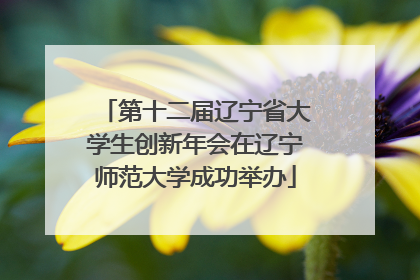 第十二届辽宁省大学生创新年会在辽宁师范大学成功举办