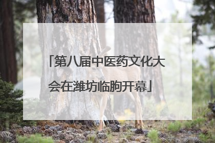 第八届中医药文化大会在潍坊临朐开幕
