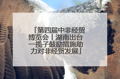 第四届中非经贸博览会丨湖南出台一揽子鼓励措施助力对非经贸发展