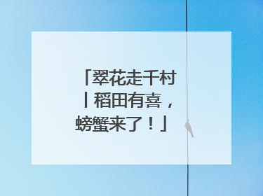 翠花走千村丨稻田有喜，螃蟹来了！